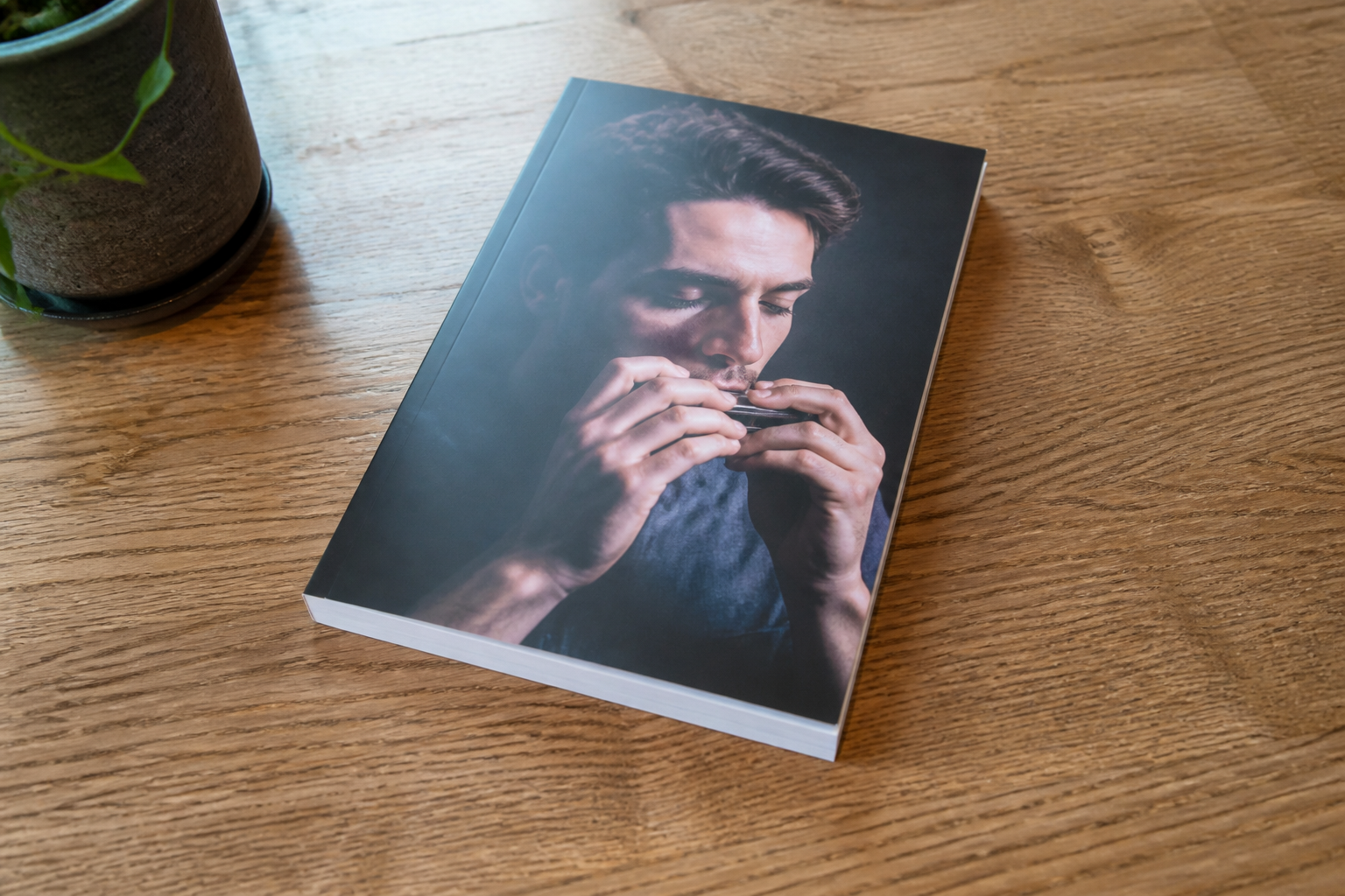 Mondharmonica leren spelen